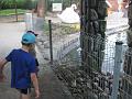 minizoo 32